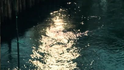 Light on a river